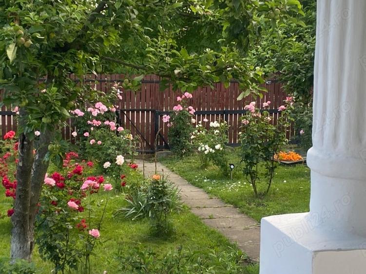 Casă cu Teren 2600 Mp în Periș