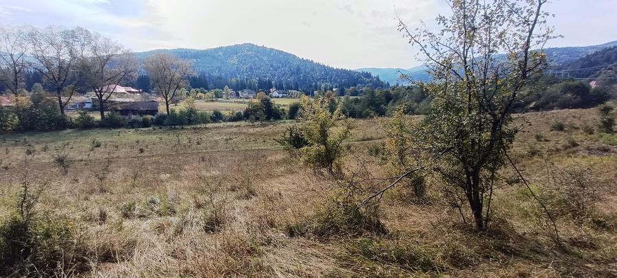 Teren Construcții intravilan de 20000 mp, în Brădet