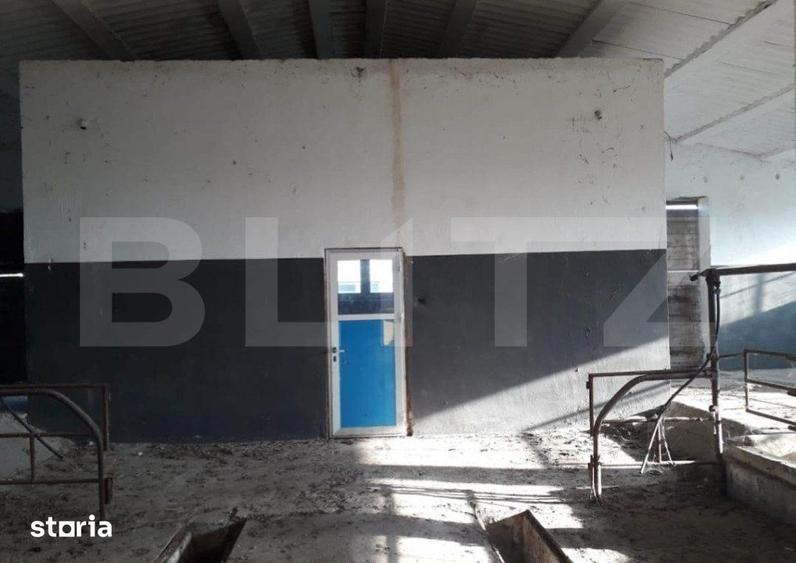 De vanzare teren-intravilan, ferma 9,5 ha, Tulcea-Sf. Gheorghe - 10