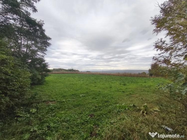 Casă cu 2 camere cu Teren 3000 Mp în Pădureni