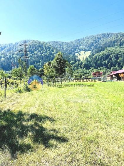 TEREN intravilan 3600 mp  PÂNGǍRAȚI - PRELUCA - 4