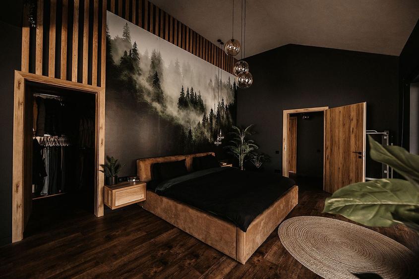 Casă cu 3 camere cu Piscina în Satu Nou de Sus