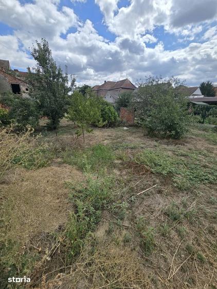 Casa cu 2 apartamente independente, teren de 719 mp - Str. Bari?iu 108 - 5