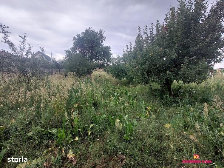 Casă cu 2 camere în Șura Mare