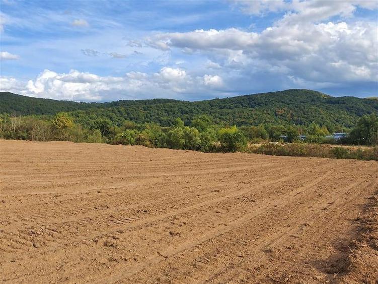 Teren agricol extravilan de 7700 mp, în Periferie
