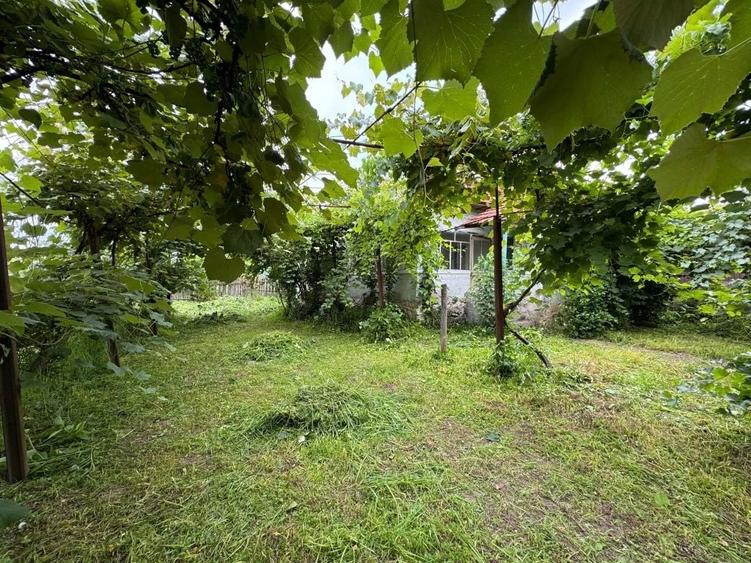 Casă cu 4 camere în Pocruia