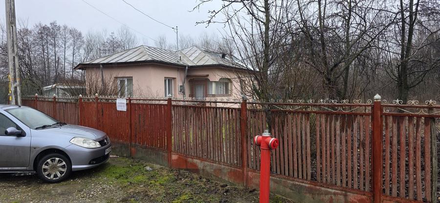 Casă cu 4 camere în Antofiloaia