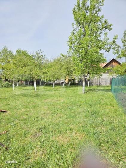 Casă cu 4 camere decomandat cu Teren 1000 Mp în Petrești