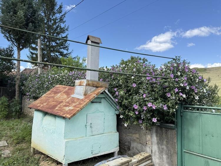 Casă cu 2 camere în Feisa