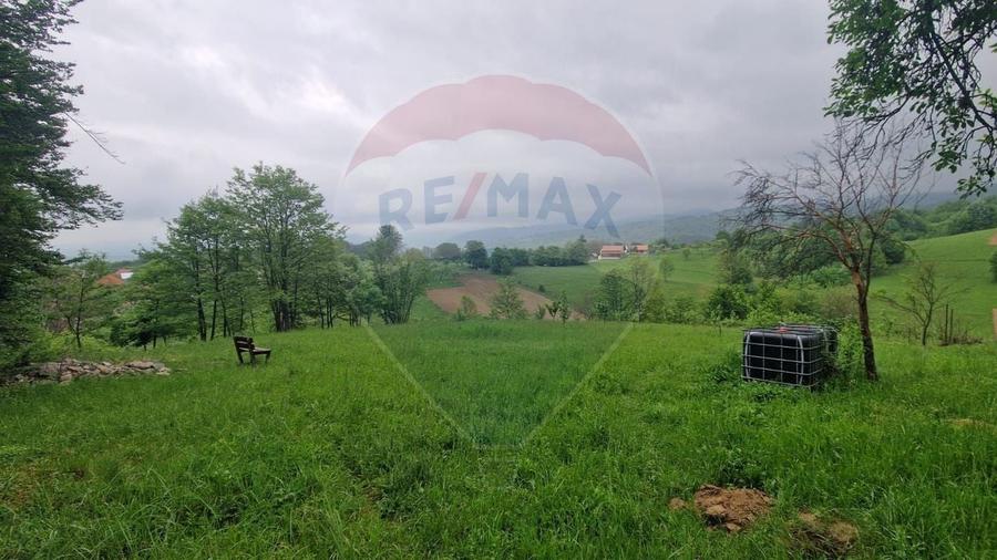Teren Construcții intravilan de 5862 mp, în Bratca