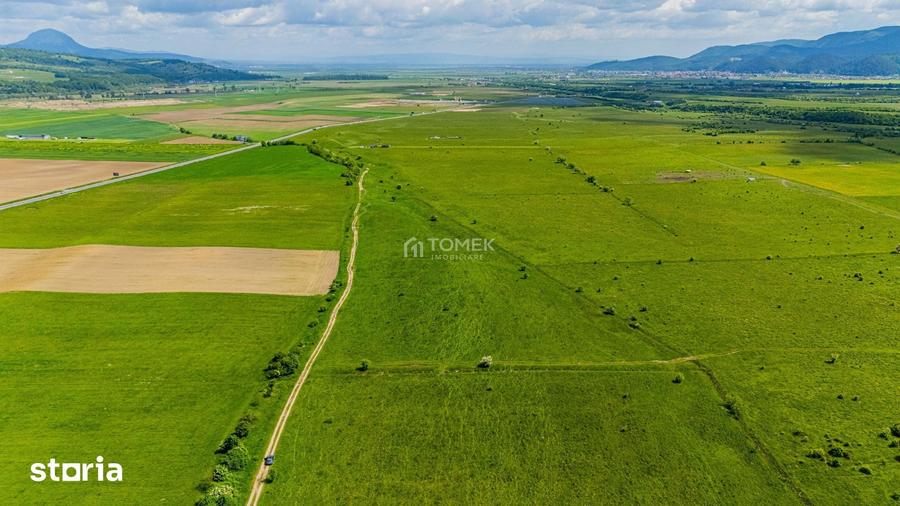 Teren de 5800 mp, în Central