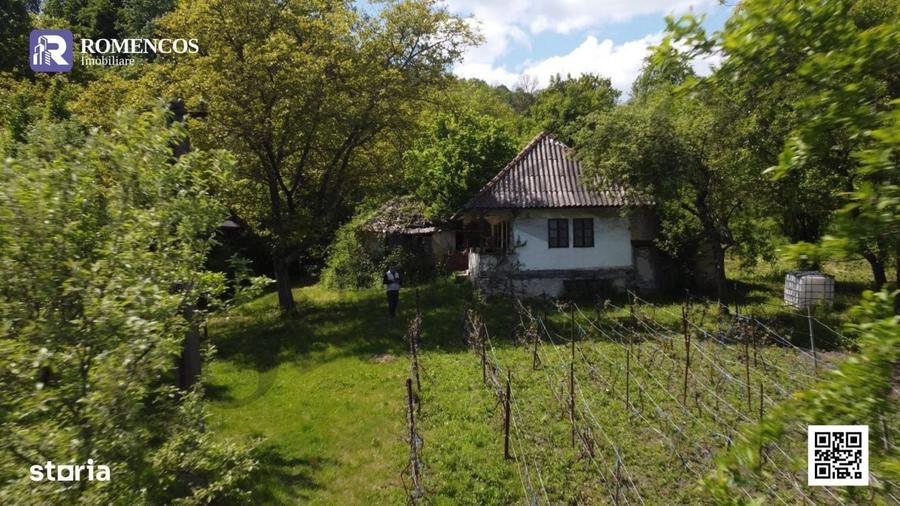Casă cu 2 camere în Oprești