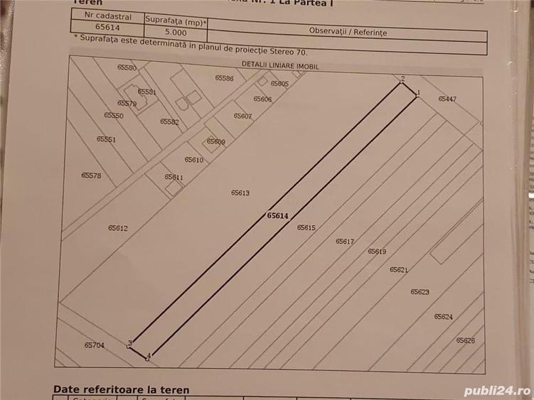 Teren de 5000 mp, în Dumitrana