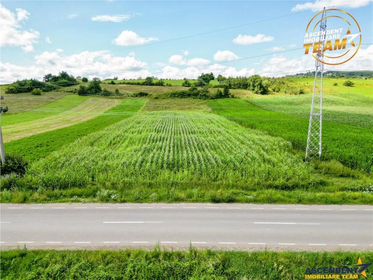 Teren de 7400 mp, în Central