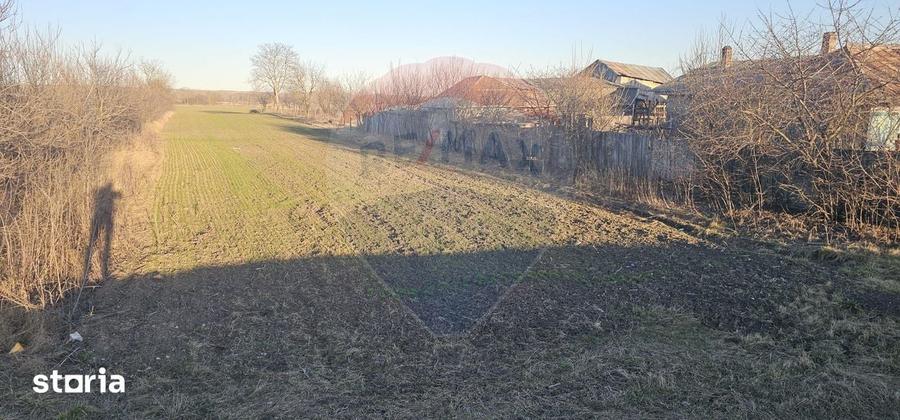 Teren de 6972 mp, în Găiceana