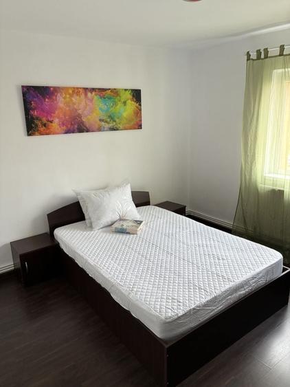 Apartament cu 2 camere decomandat în Rovine