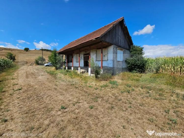 Teren extravilan 2.901 mp cu casa ?i utilita?i Unire - 3