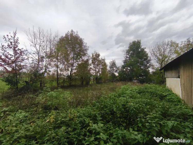 Casă cu 2 camere cu Teren 3000 Mp în Pădureni
