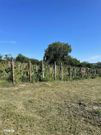 Casă cu 3 camere cu Teren 2700 Mp în Odobești