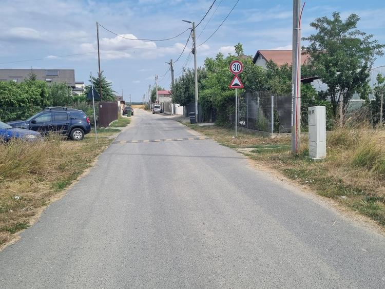 Vanzare Teren construibil 1 Decembrie Ilfov - 5