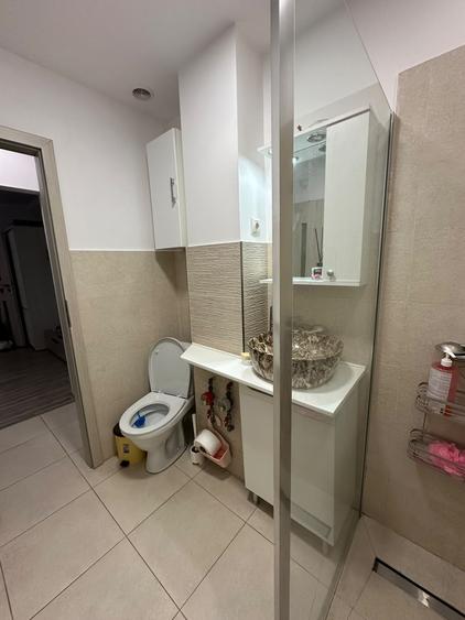 Ozana - Titan - Metrou - 2 Camere - Renovat - Zonă Verde - 10