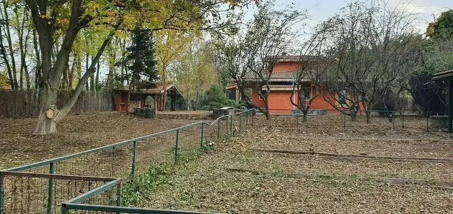 Vilă pe malul lacului, 6 camere, Snagov - 10