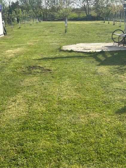 Casă cu Teren 1733 Mp în Central