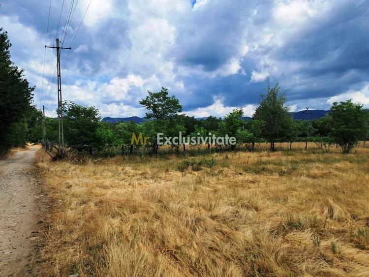 Teren de 2478 mp, în Polovragi
