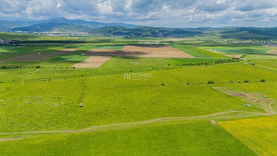 Teren agricol extravilan de 5800 mp, în Tohanu Nou