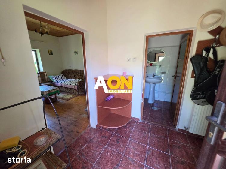 Casă cu 3 camere cu Teren 7050 Mp în Pianu