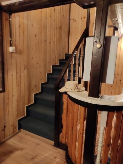 Teren Construcții intravilan de 9100 mp, în Viile Noi