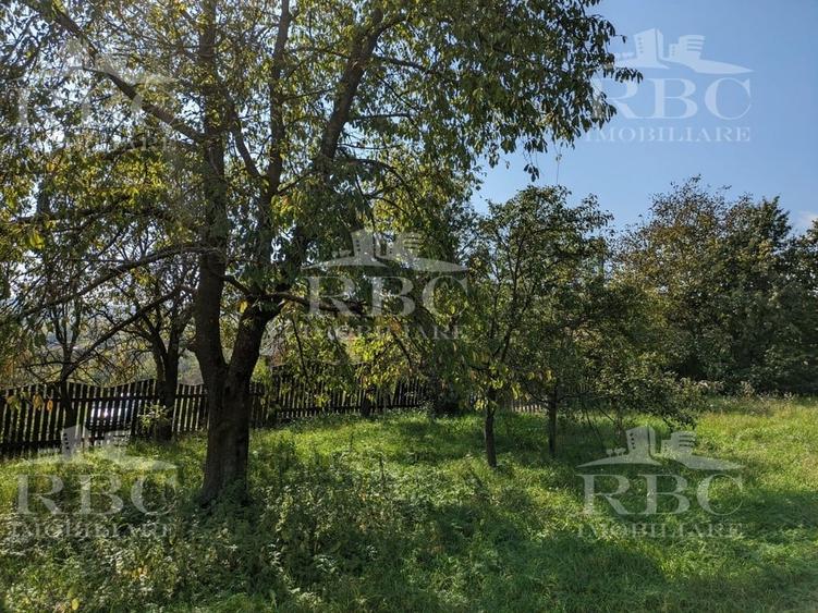 Teren intravilan de 4873 mp, în Moldovenești