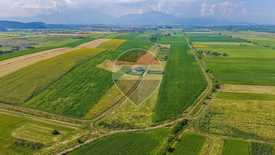 Teren 1400 mp intravilan Bod/ DE VANZARE! - 3