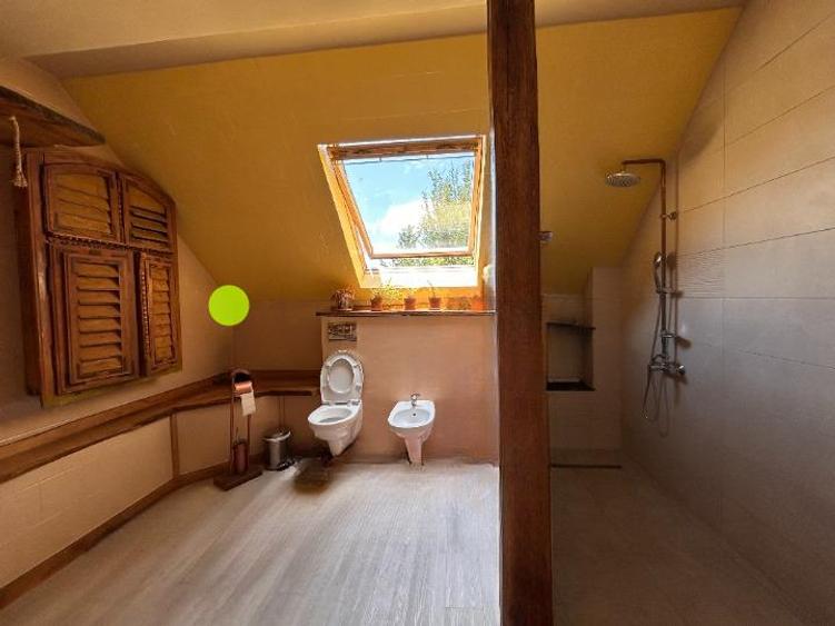 Casă individuală cu 10 camere cu Canalizare în Baciu