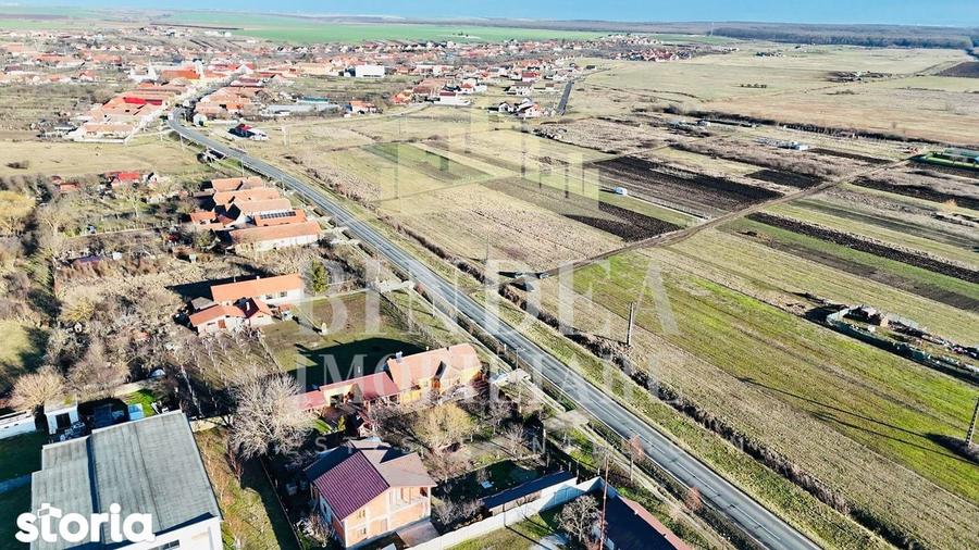 Parcele teren intravilan 1500mp la 15euro/mp in Pischia - 5