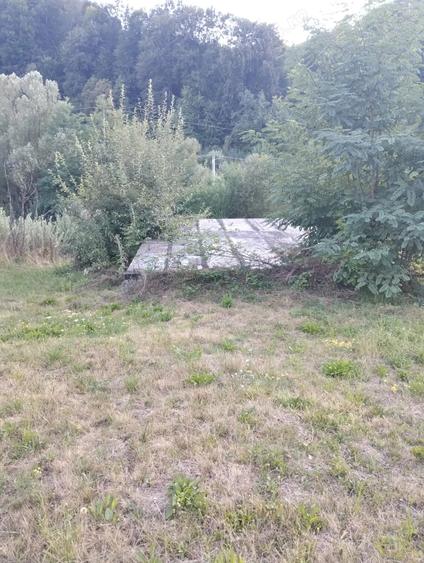 Teren de 9800 mp, în Pietrari