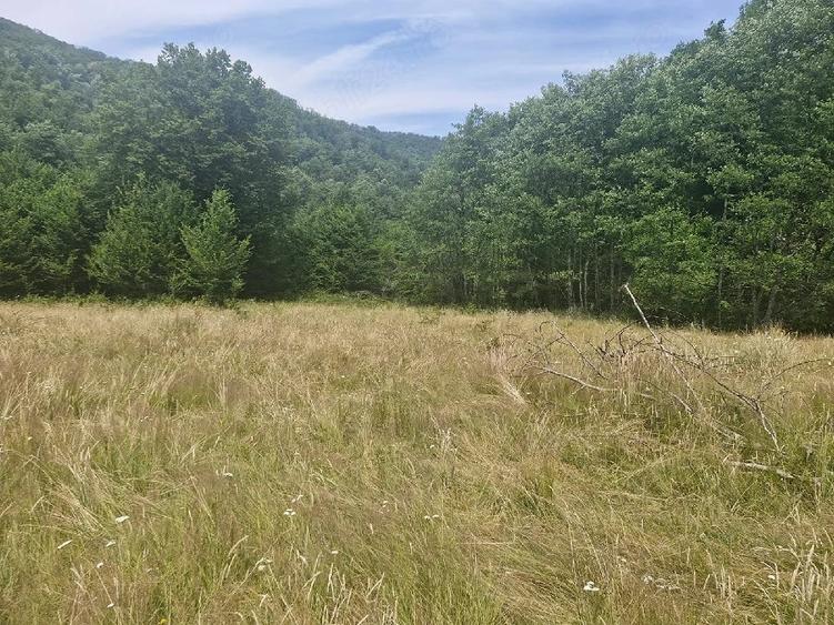 Casă cu Teren 1800 Mp în Anini