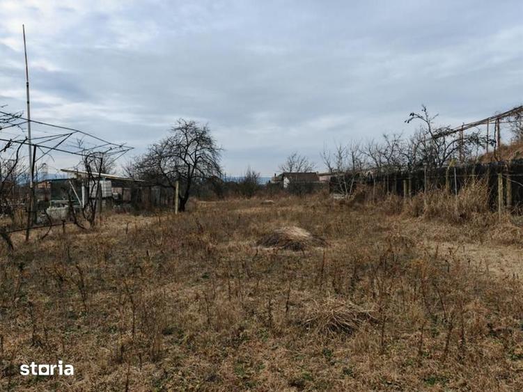 Teren de 1660 mp, în Letea Veche