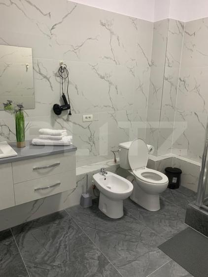 Apartament cu 3 camere decomandat, mobilat în Brazda lui Novac