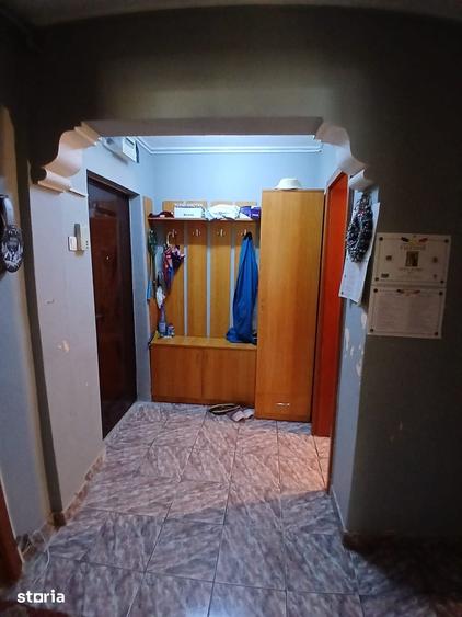 Apartament cu 3 camere decomandat în Delfinariu