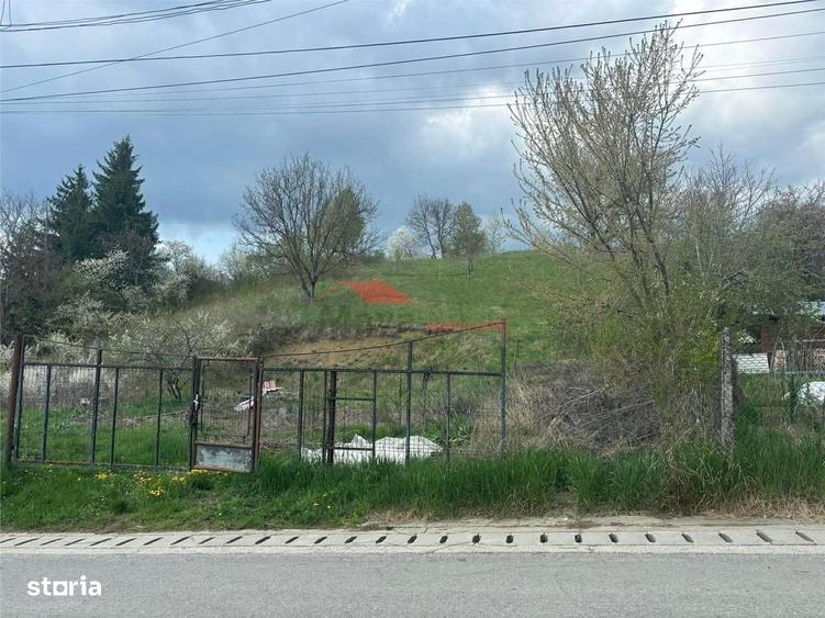 Teren intravilan 31 ari, Valea Budacului - 4