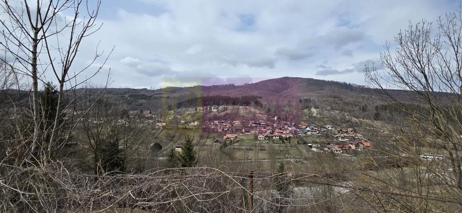 Teren Construcții intravilan de 2500 mp, în Valea Doftanei