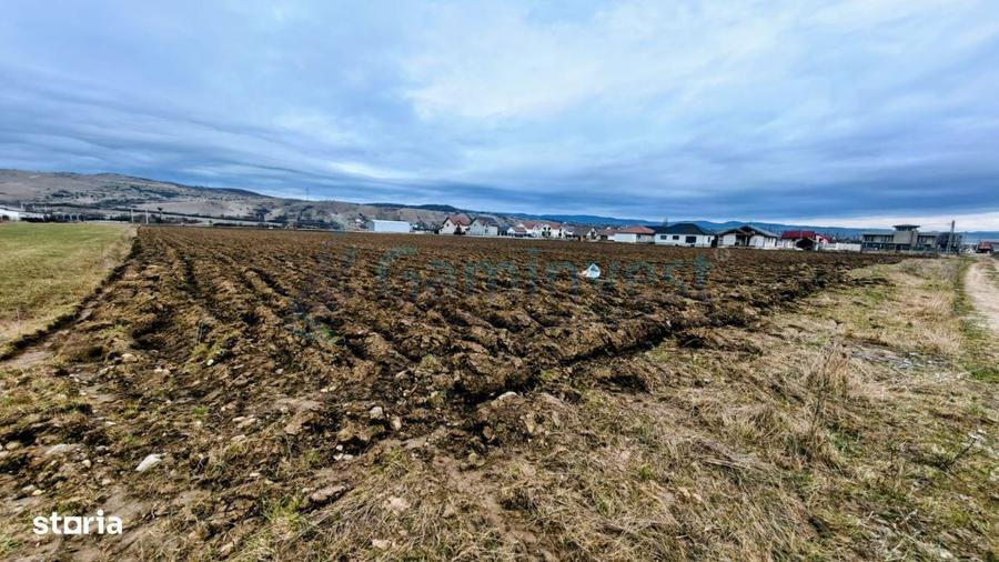 Teren intravilan rezidential, 34650 mp Alesd, Bihor, Gaminvest, V4541 - 1