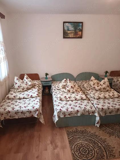 Casa de vanzare in Rau Sadului - 1