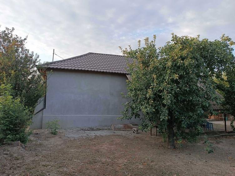 Vand Casa! Segarcea Deal! - 8