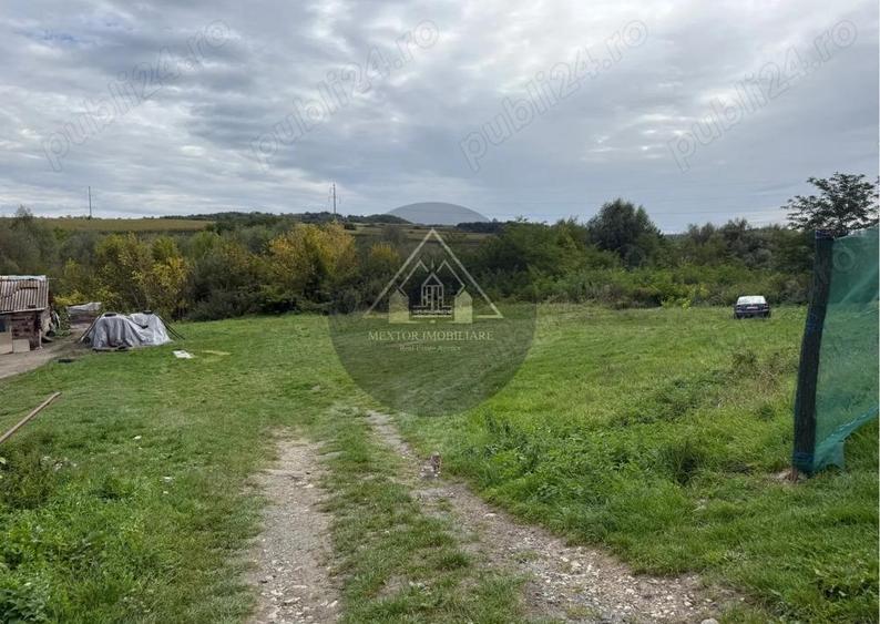 Teren Copsa Mica - 4