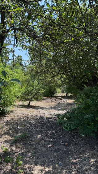 Casa de vanzare la ?ara locuin?a pregatita pentru mutare imediata! - 2