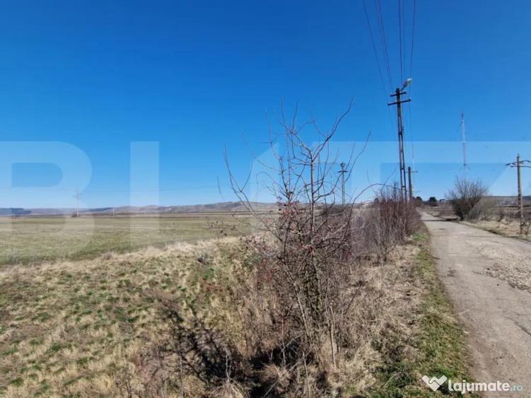 Teren intravilan, 29.000mp, front 102mp, utilitati in zona, - 4