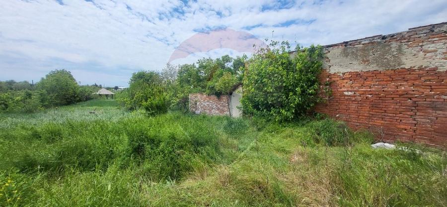 Teren Aradul Nou-2.311mp cu livada si utilitati, ideal pentru locuinte - 3