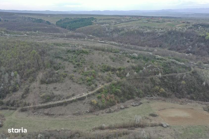 Teren 8114 mp lupoaia holod livada cf+topo acces auto aproape de sat - 4